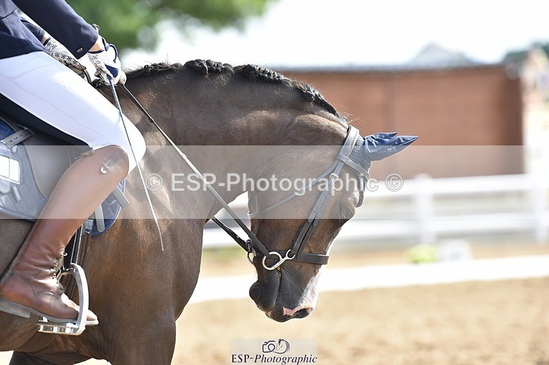 250622-092050-12752 - Quest Cls 19-24 Intro Tests