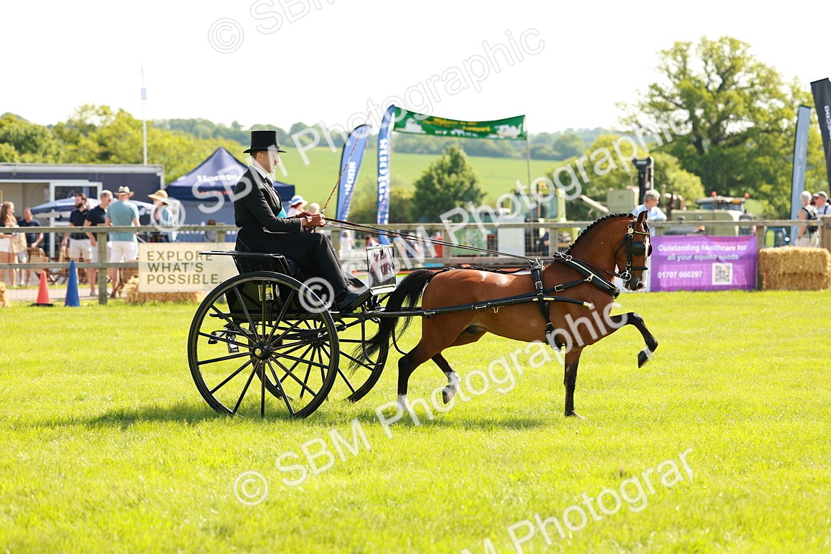 SBM_02590 - Class 2-4 - HOYS Private Driving
