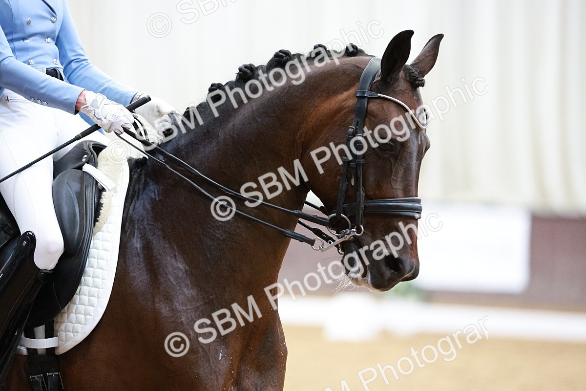 SBM_020092 - Class 12 - FEI PSG - 14.12-15.00