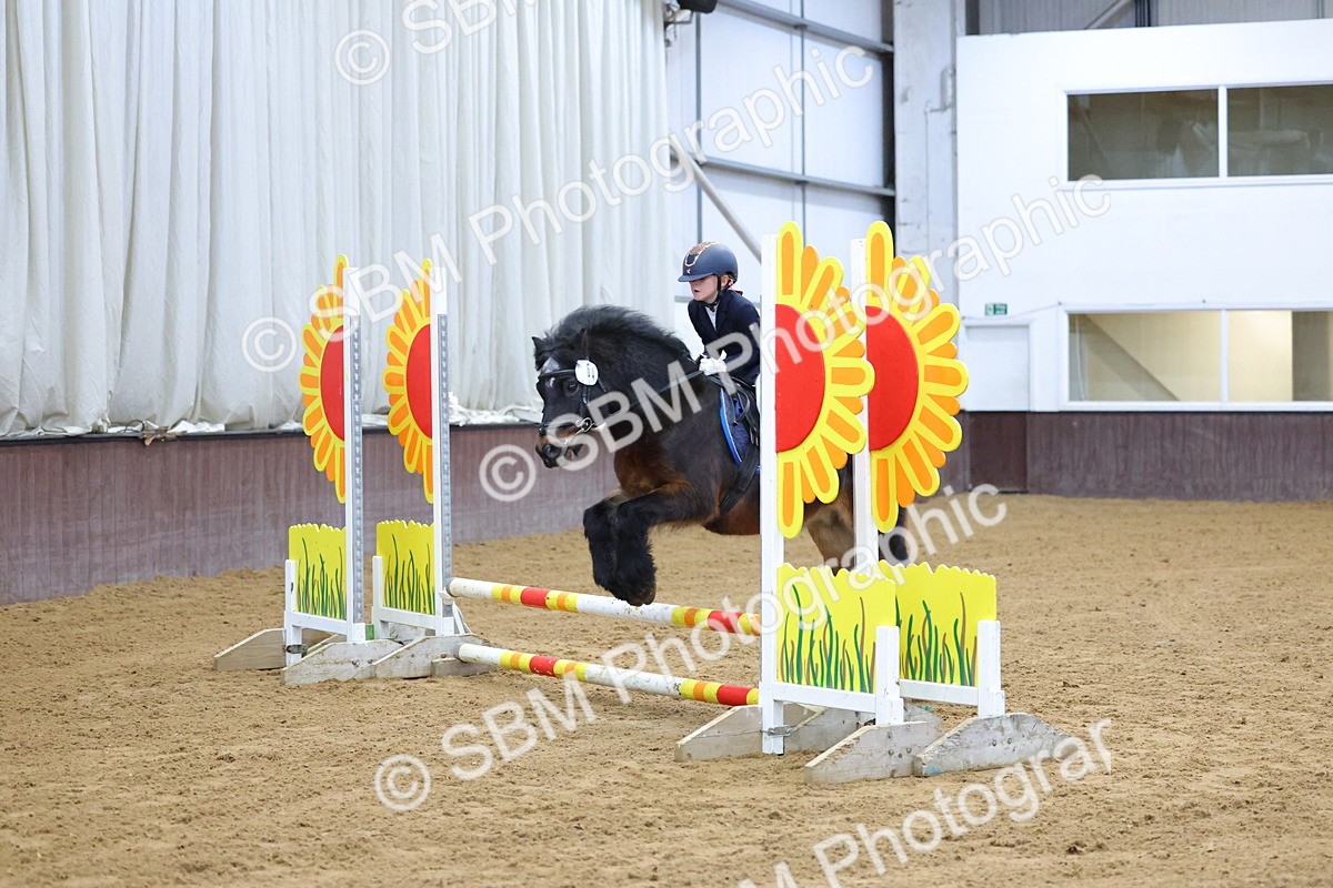 SBM_000102 - Class 1 - Show Jumping 50cm
