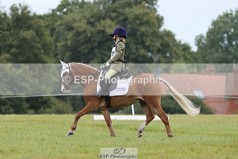 240824X-104304-22295 - D70 Section C and D 9.30 to 11.00