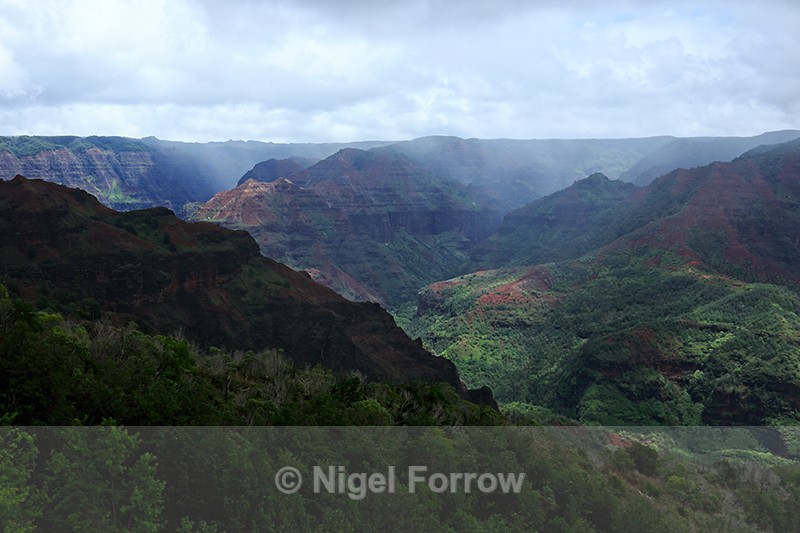 Waimea Canyon, Kauai, Hawaiian Islands - Hawaiian Islands, USA