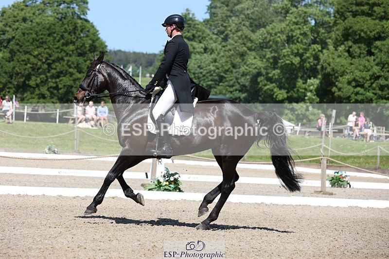 230526-104258-05309 - 363-RLE_KHALEESI_C-Christopher_Wincer-WEDTrotUp+DR