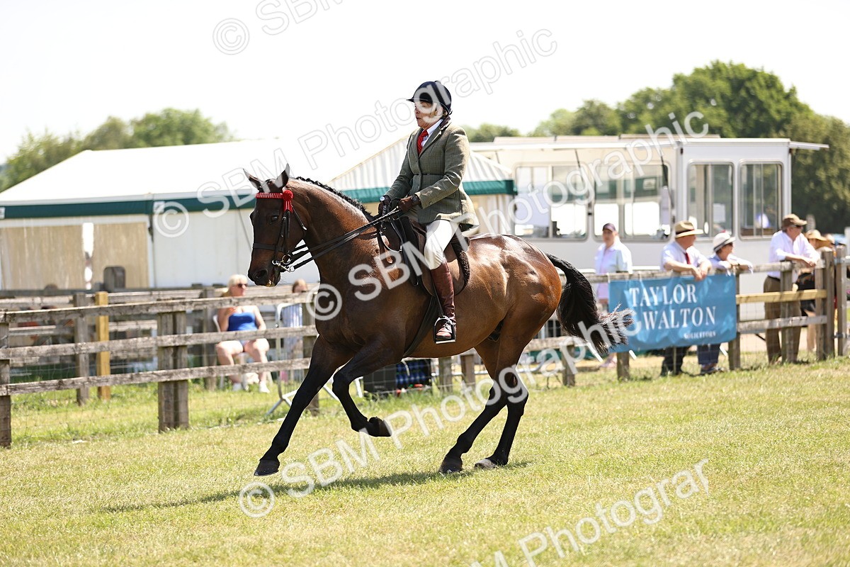 SBM_14918 - Class 78 - LIHS BSHA Open Racehorse & Show Horse