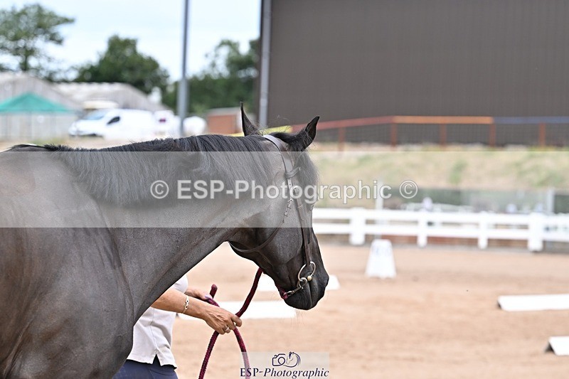 250716-134946-00683 - Trot Up 1.30 to 2.30