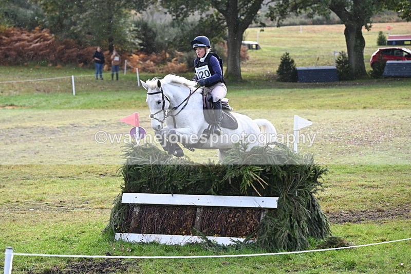 WJ6_2013 - 80cm Cam 1 Time 10:47 to 11:22