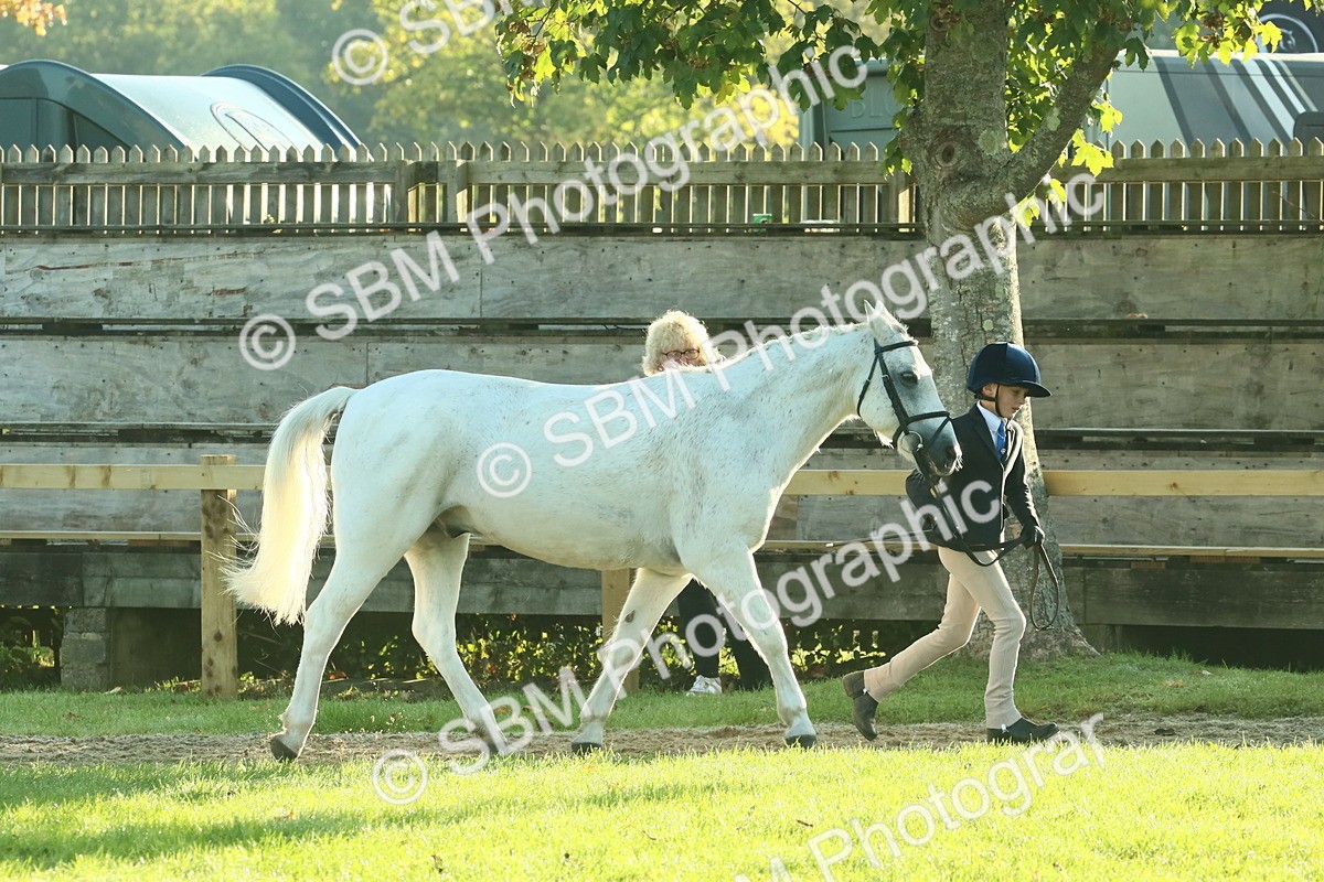 SBM_57359 - S37 - Starters In Hand Showing