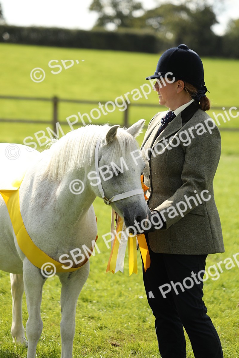 SBM_66314 - In Hand Pony & Youngstock Supreme Championship