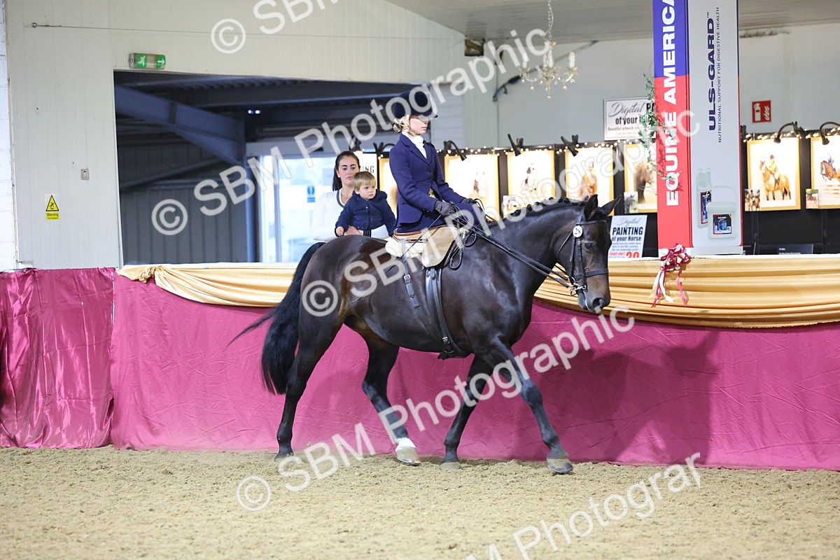 0B8A4246 - Class L Side Saddle Champ