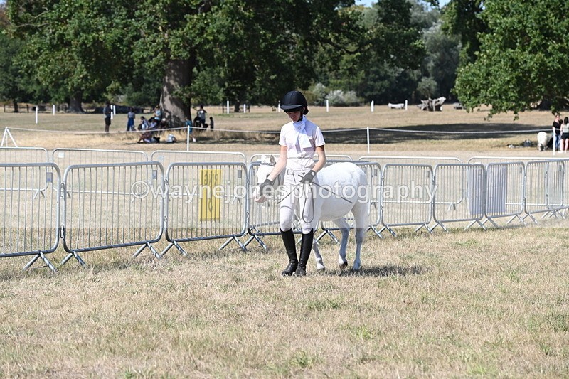 WJ6_9440 - Class 40 Cheekiest Pony/Horse