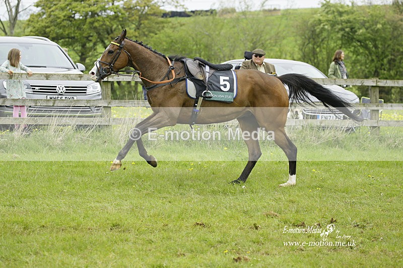 PtP 020522 156 - Mollington Races Point-to-Point 02/05/22