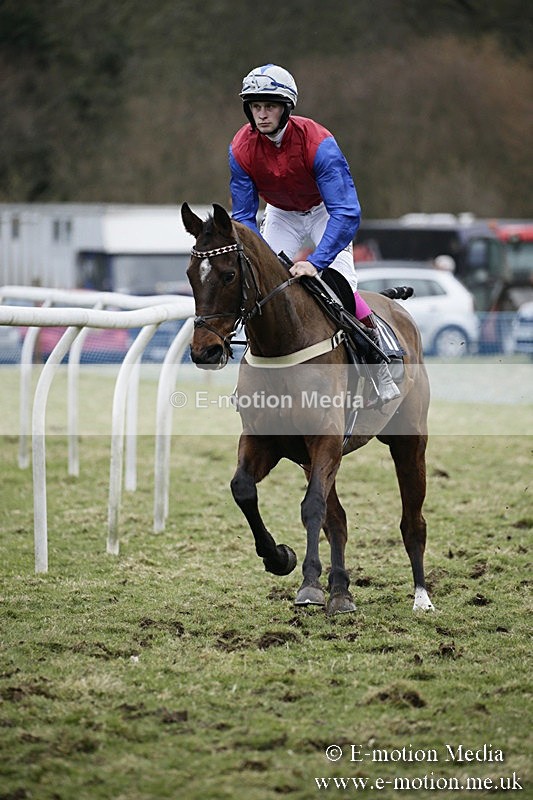 PtP 110318 319 - Hampshire Hunt Point-to-Point Hackwood Park 11/03/18