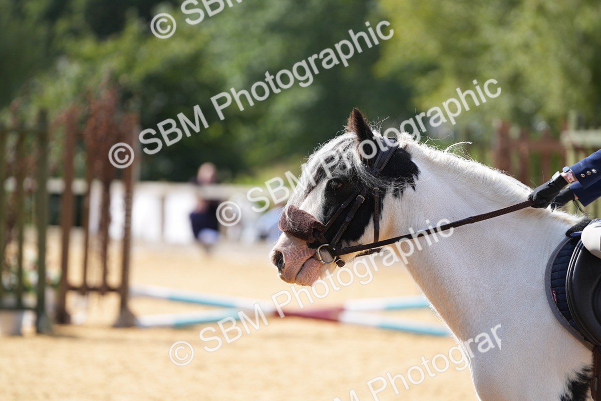 SBM_65821 - J2 - Mini Tour Junior Pony 30cm Championship