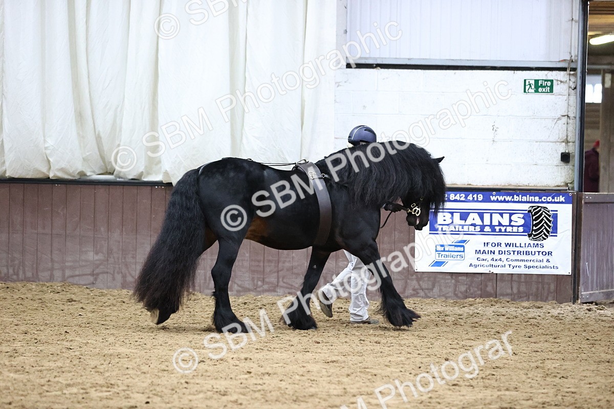 SBM_5343 - Class 32 - In Hand Cob Type