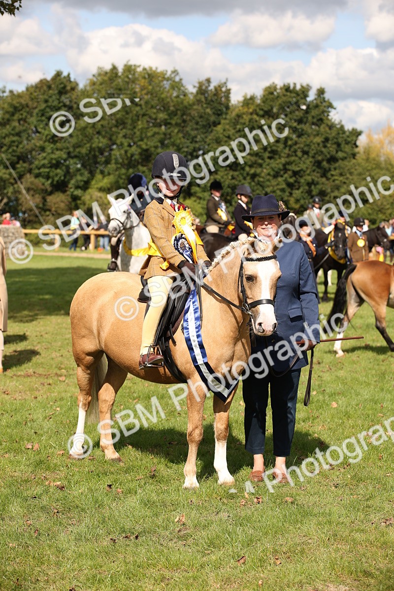 SBM_40933 - Fun Showing Supreme Championship