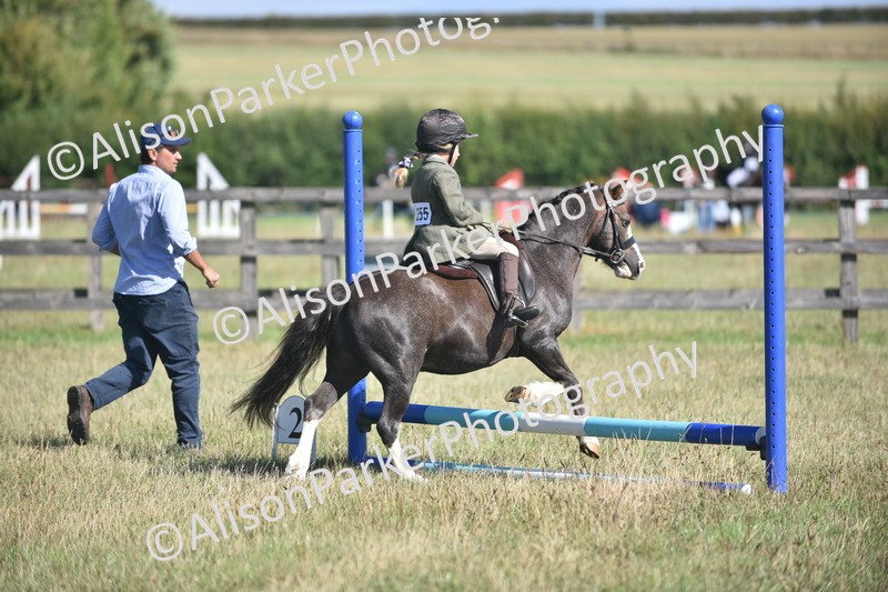20260906-0999 - Class 7 - Absolute Novice Jumping 35cm
