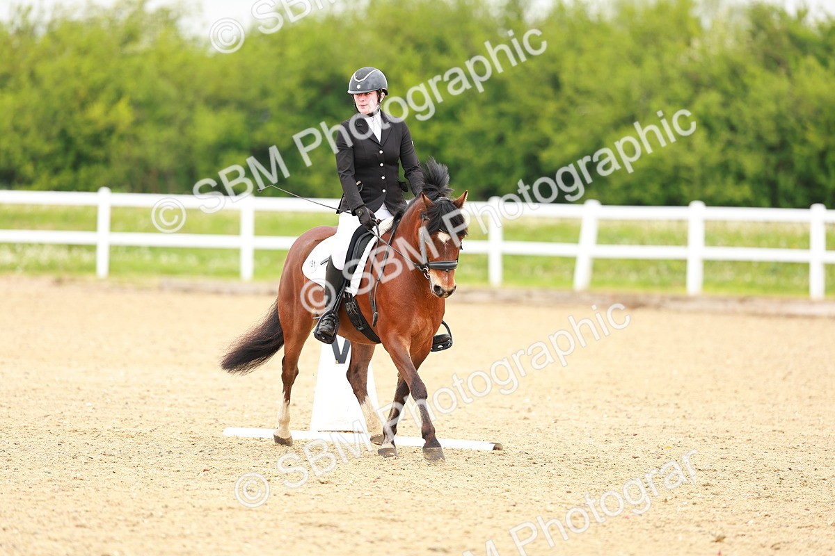 SBM_005252 - Class 16 - Novice 6