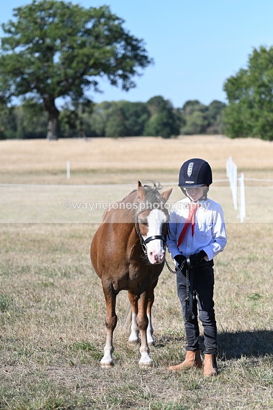 WJ7_2127 - Class 44 Child's Best Friend