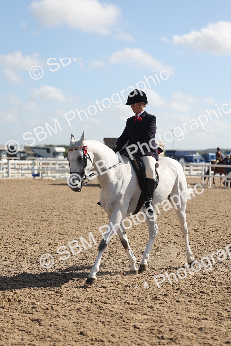 SBM_22669 - Class 805 - Ridden Veteran Horse