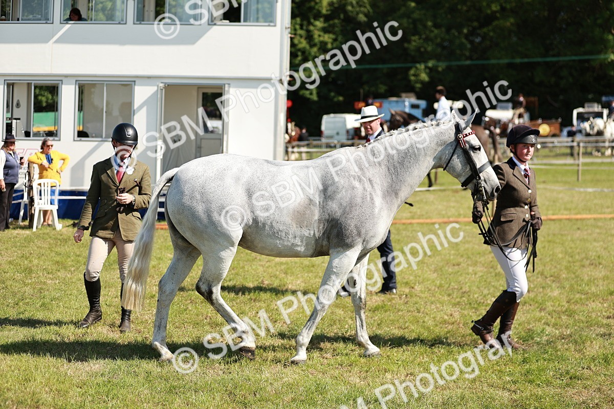 SBM_18894 - Class 114 - RIHS & SEIB Open Working Show Horse