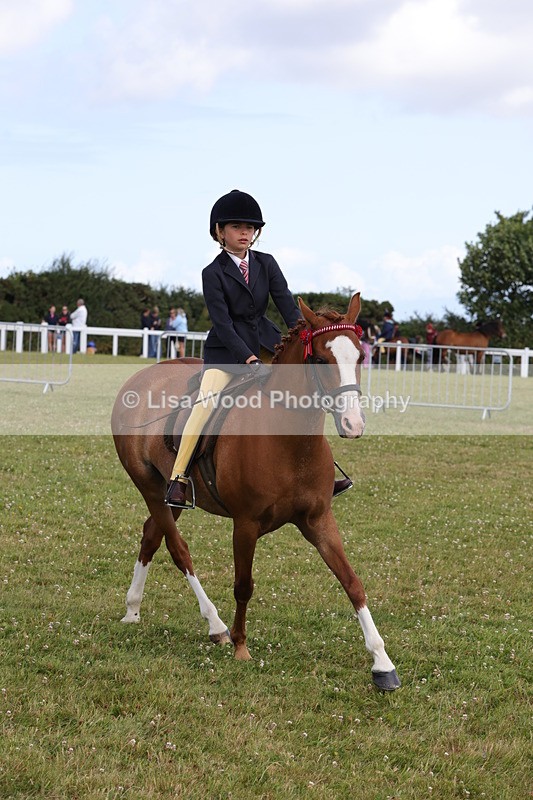 1X9A3915 - Class 31: Show Pony 148cm and under