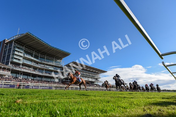 141023-Race 3-Montassib-3971 - Race 3 2.25pm Coral Sprint Trophy Handicap
