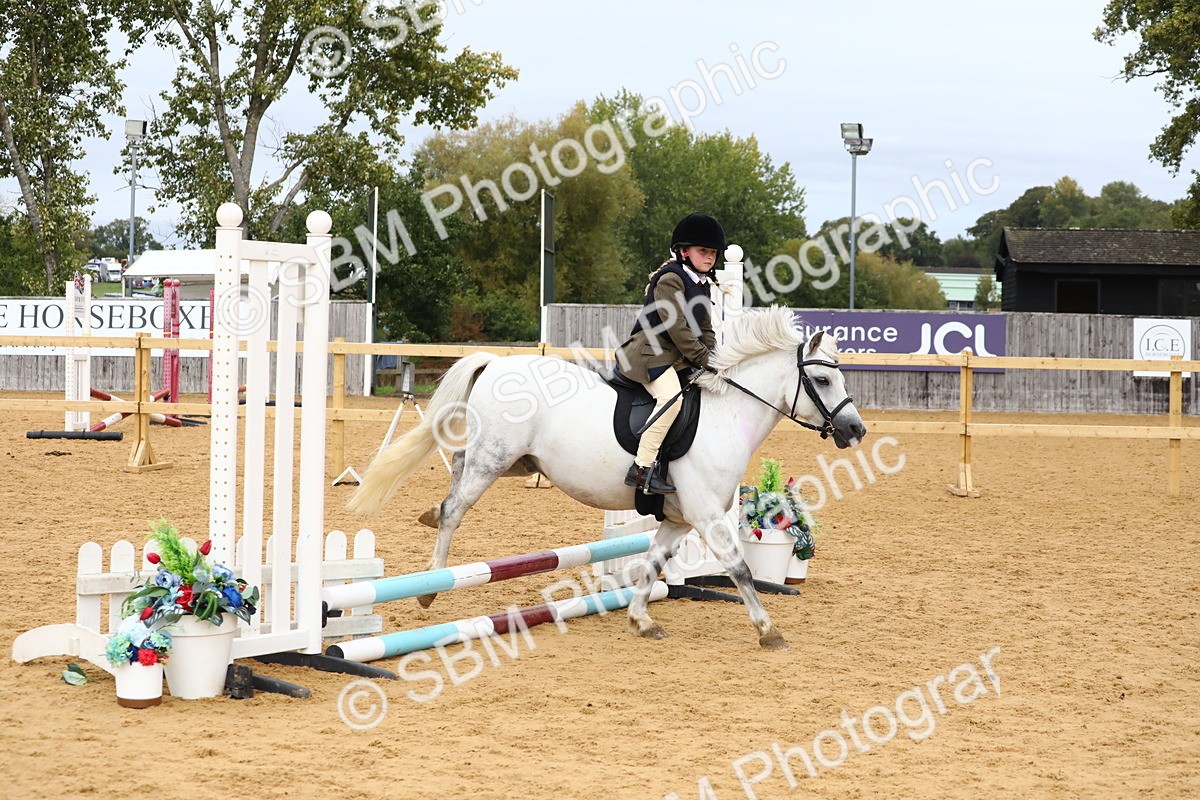 SBM_68127 - J3b - Mini Tour Junior Pony 40cm Championship
