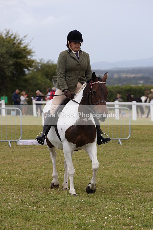 1X9A4490 - Class 34: Veteran Ridden