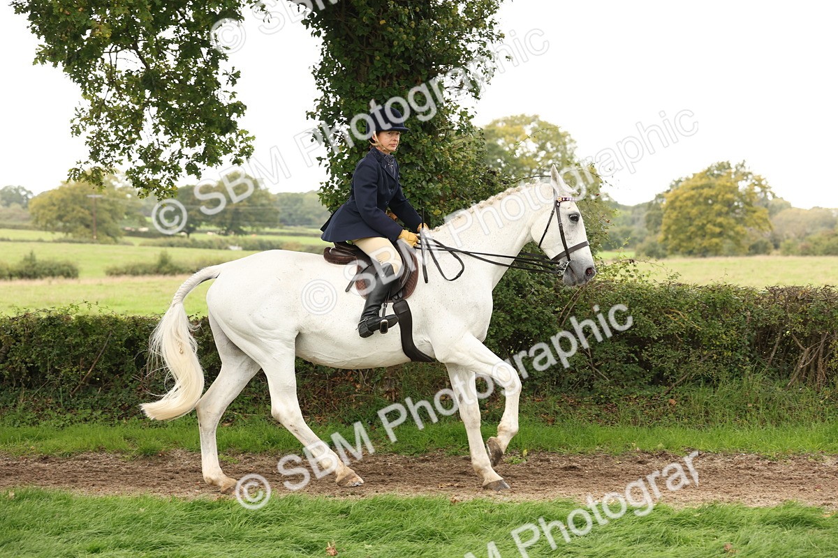 SBM_64193 - S65 - Riding Horse & Hack & Thoroughbred Ridden