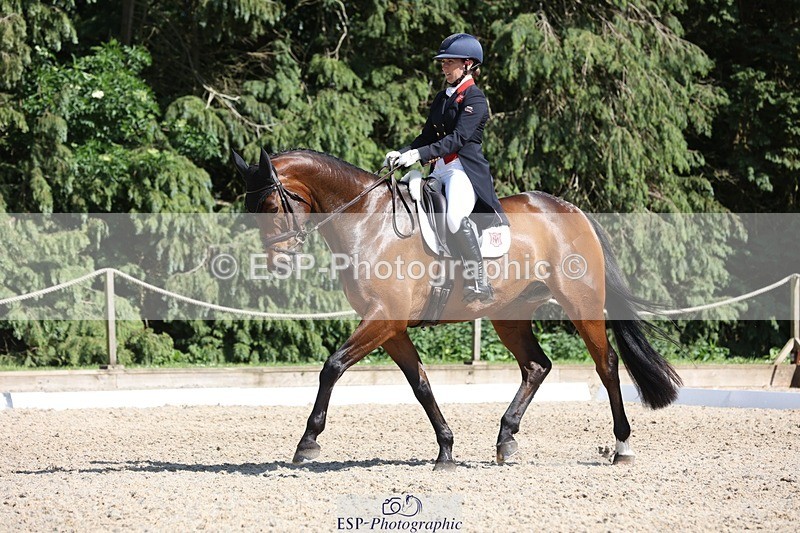 230526-160832-07762 - 168-PARKFIELD_ARTIE_BLOU-Laura_Collett-WEDTrotUp+DR