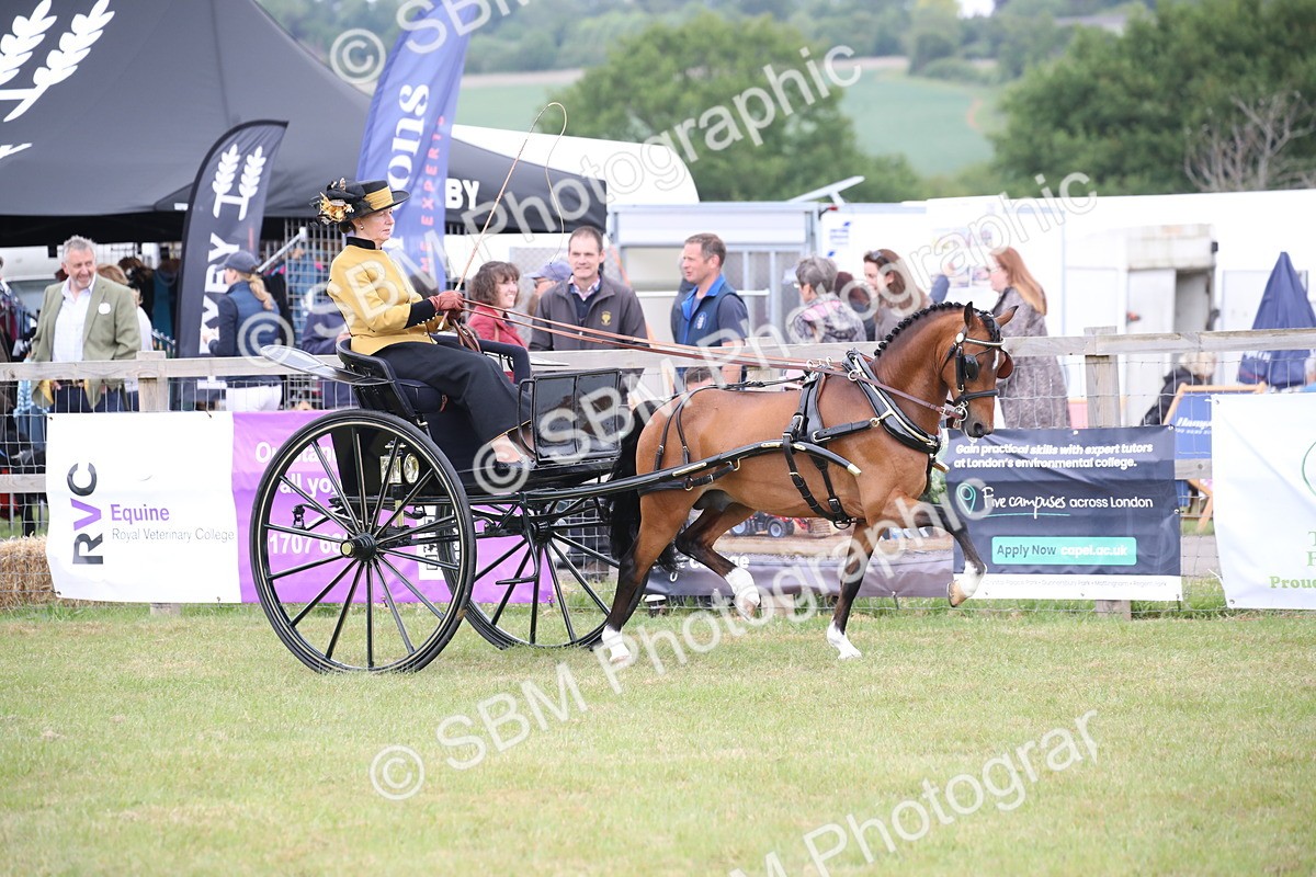 SBM_05824 - Class 12-15 - HOYS Private Driving