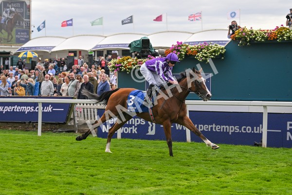 210825-Race 4-Minnie Hauk-4720 - Race 4 3.35pm Pertemps Network Yorkshire Oaks