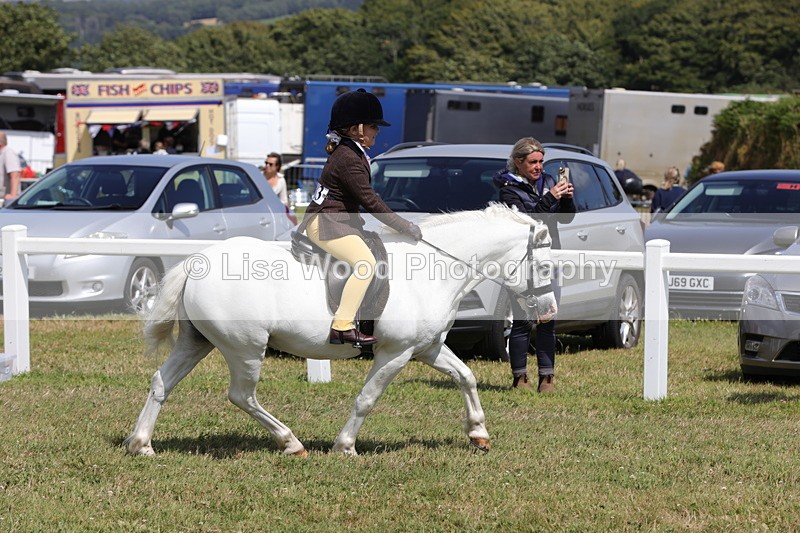 1X9A5333 - Class 37: NPS M&M First Ridden