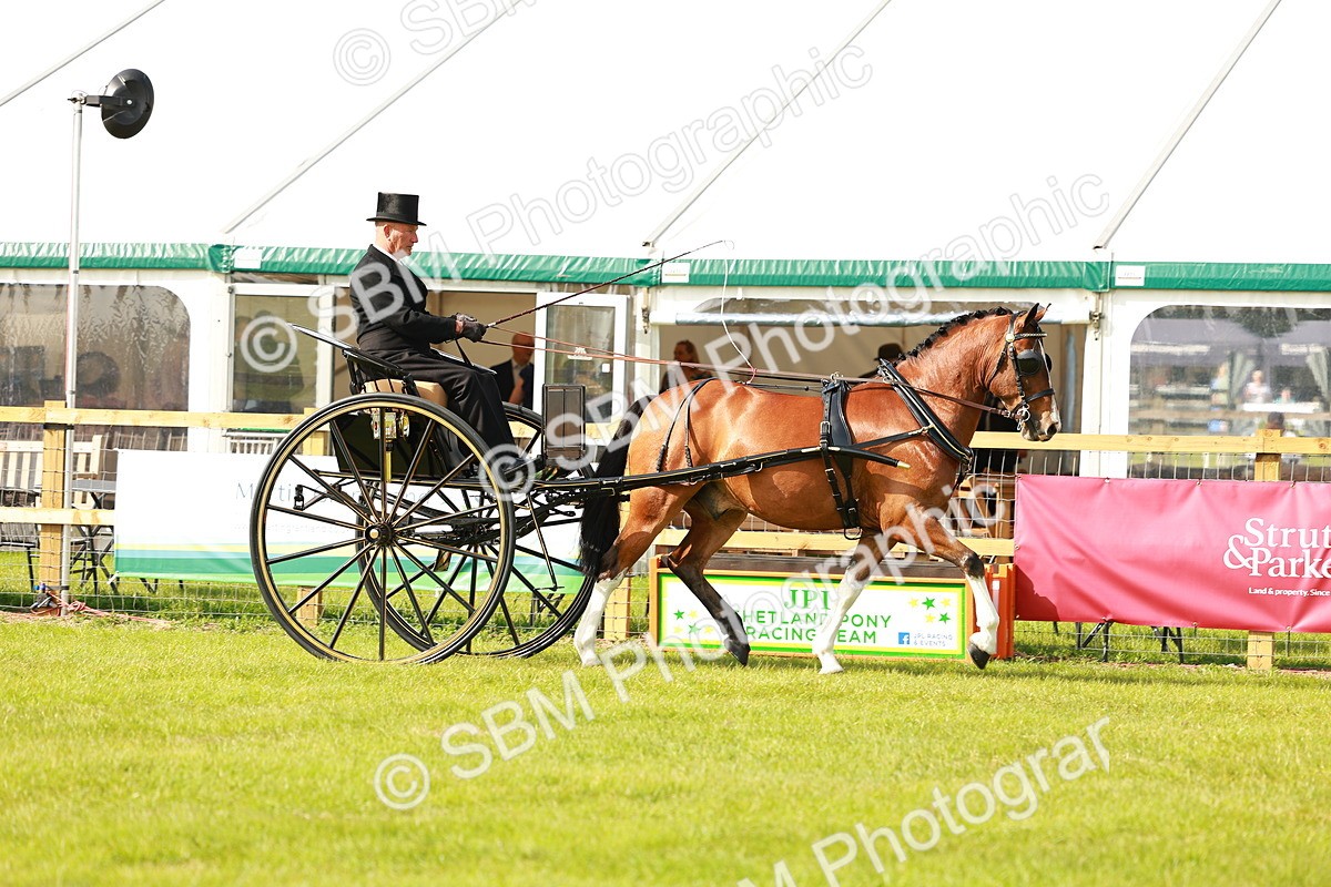 SBM_01175 - Class 2-4 - HOYS Private Driving