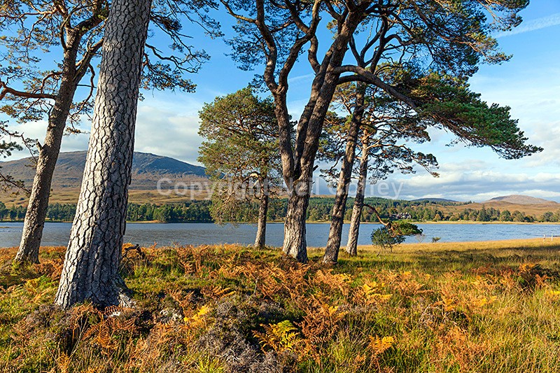 Loch Tulla, Argyll & Bute5 - Landscape format