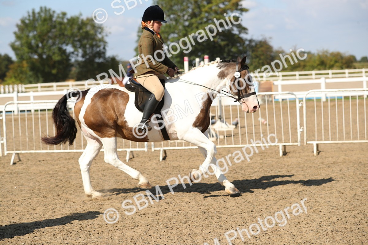 SBM_03152 - Class 44 Riding Club Horse/ Pony