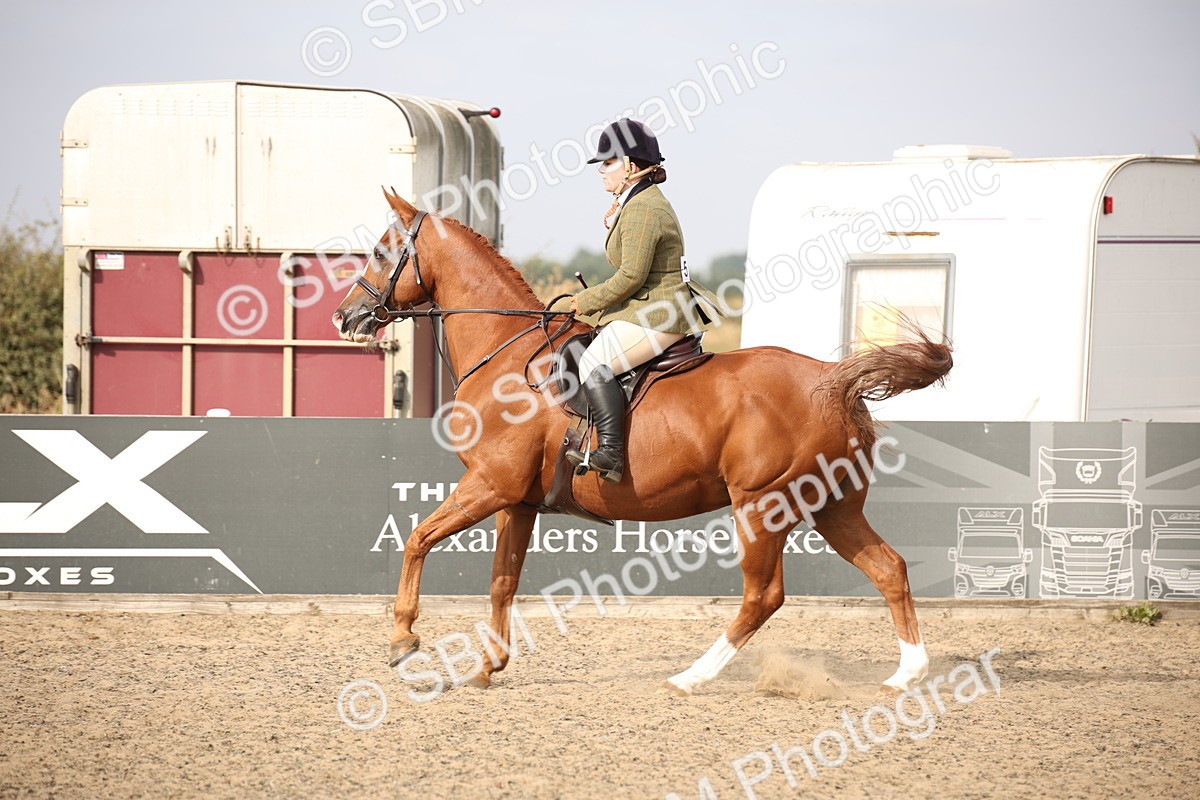 SBM_17301 - Class 410a - Wor5king Veteran 90cm (15-19)