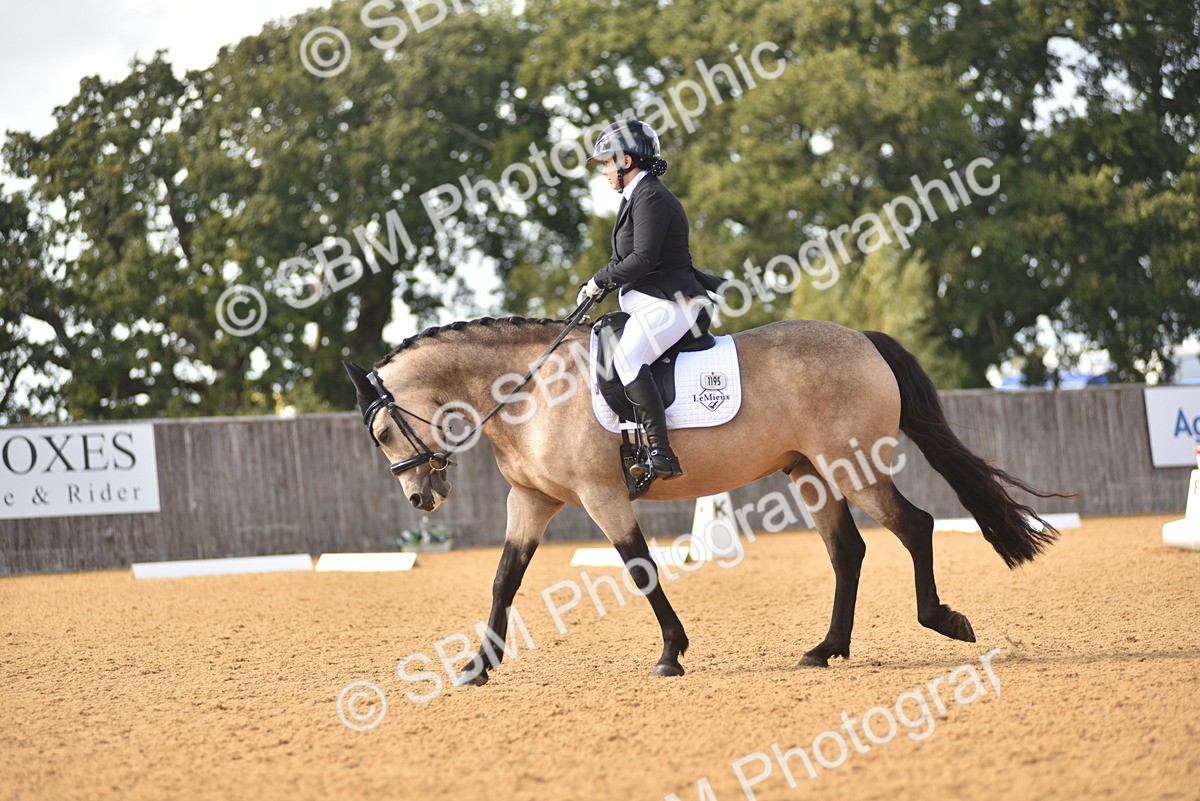 SBM_24279 - D4 - Small Tour Championship Intro 4