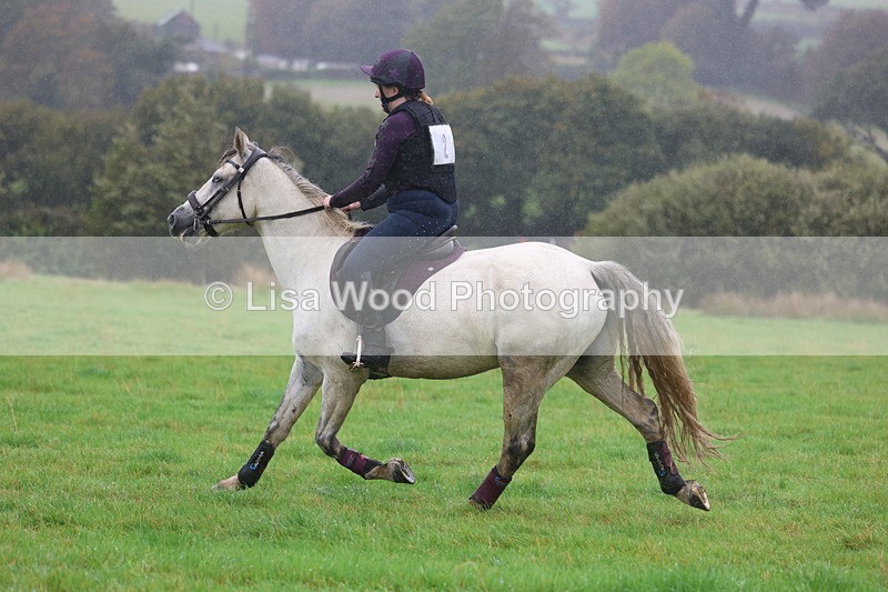 3E7A1000 - Class 1: 65cm: Rails