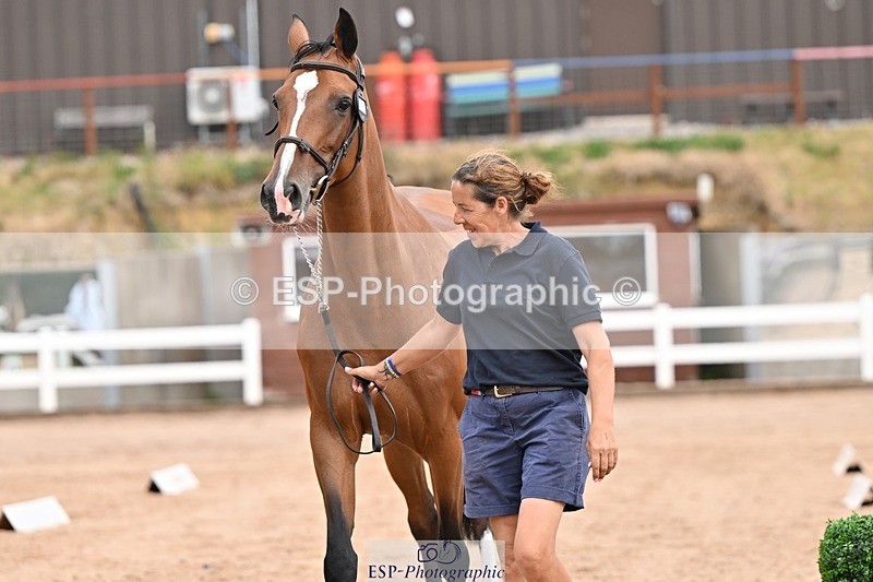 250716-151825-01854 - Trot Up 2.30 to 3.30