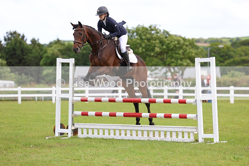 3E7A7709 - Class 13: Senior British Novice/90cm open