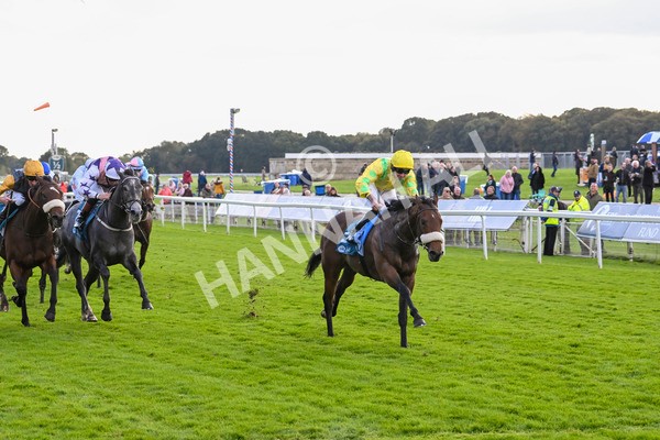 111024-Race 4-End Of Story-1817 - Race 4 3.10pm Parsonage Hotel And Cloisters Spa Nursery Handicap