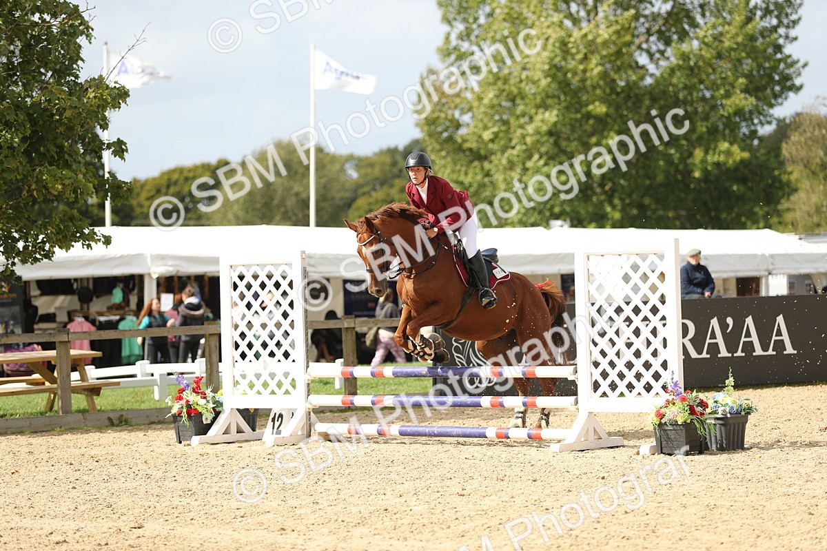 SBM_06364 - J29 - Senior Horse & Pony 65cm Championship