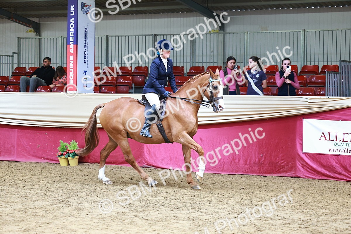 SBM_23723 - Class 905 - Supreme Final - Ridden Veteran