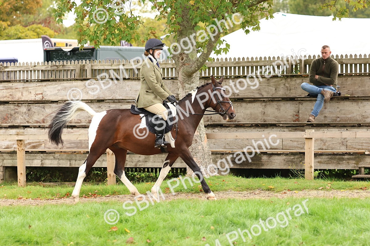 SBM_59881 - S36 - Rehabiliated Rescue Horse & Pony In Hand & Ridden