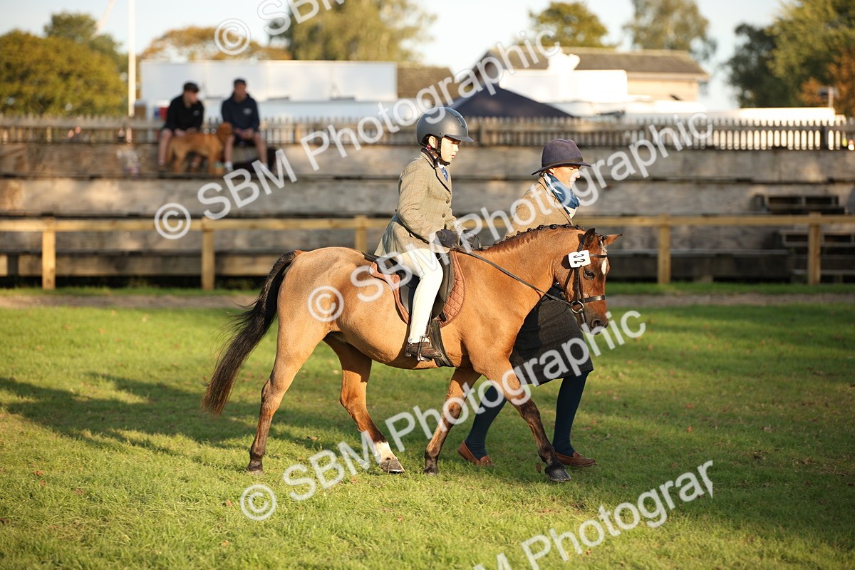 SBM_54472 - S27 - Mature Veteran - Ridden