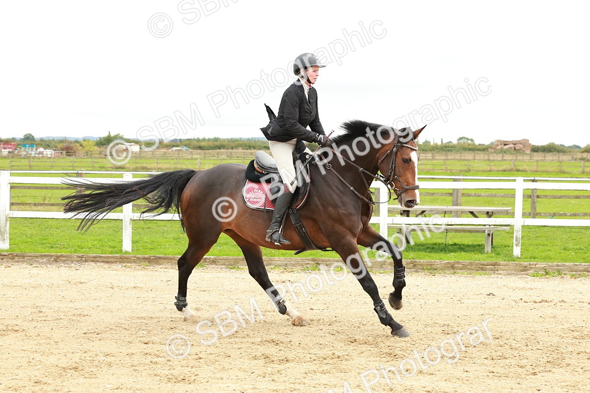 1I0A7044 - Class 2 - Senior British Novice