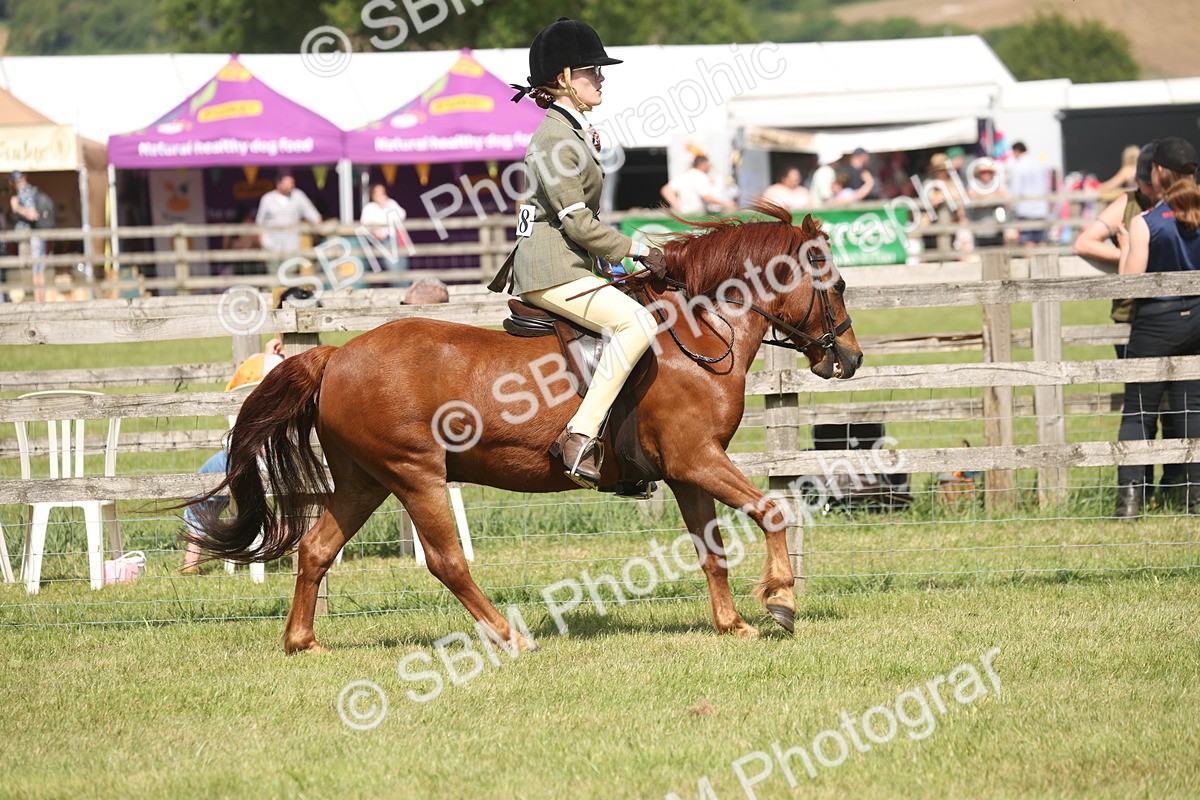 SBM_07674 - Class 26-30 - Mountain and Moorland Ridden