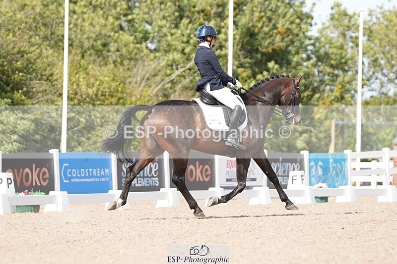 250906-134030-03354 - 113-Nicole.JahanshahiVirtual.Attraction