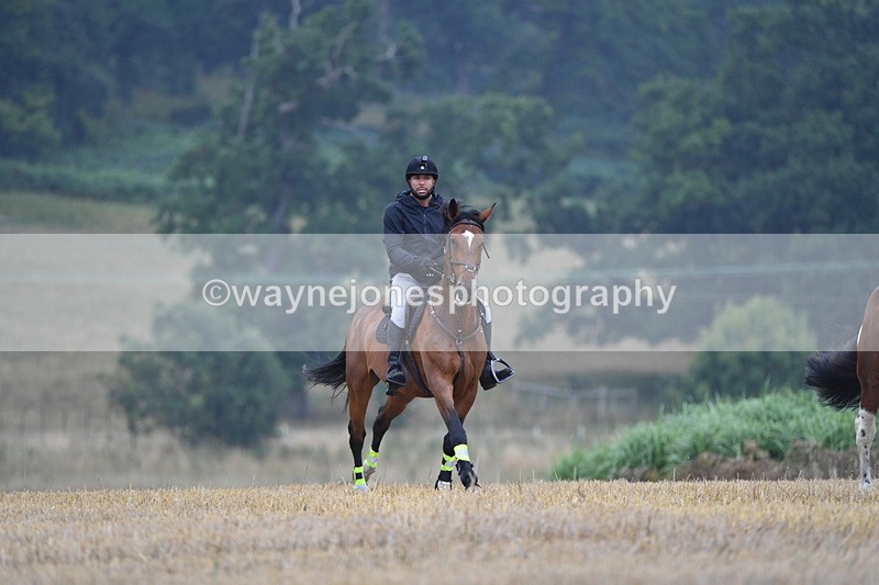 WJ5_2451 - Sofian Francis